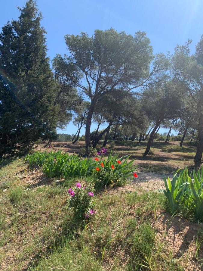 Un Soir Sous Les Etoiles Bed & Breakfast Chateauneuf-de-Gadagne Bagian luar foto